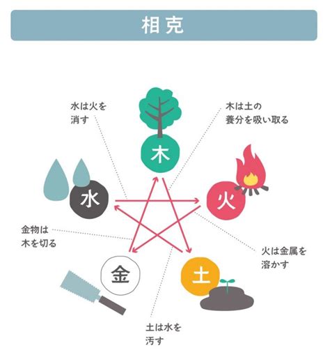 金剋木化解|五行相剋怎麼破？懂得破解法，助你提升好運好風水！。